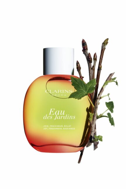 عطر زنانه برند کلارینز